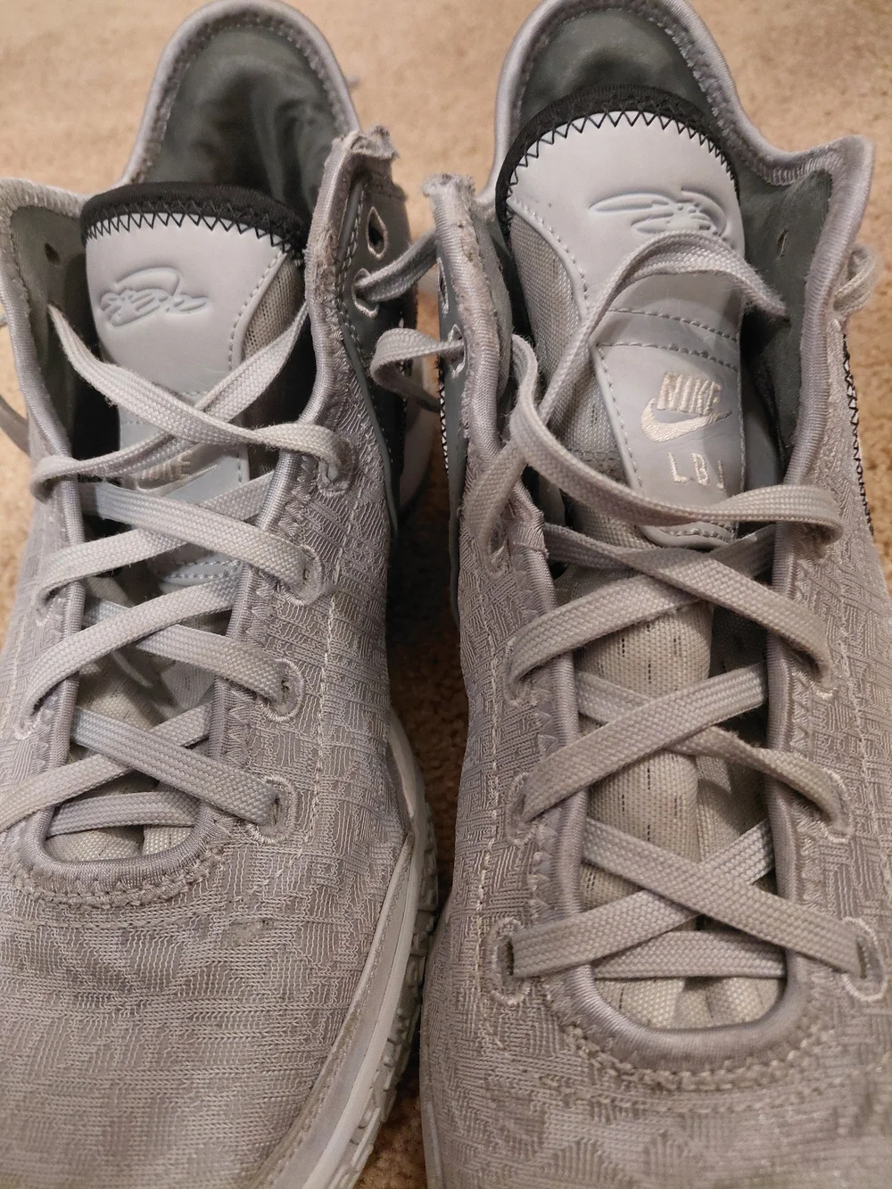 Nike Zoom Lebrons Wolf Size 10